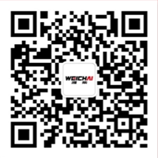 2026052619322481884